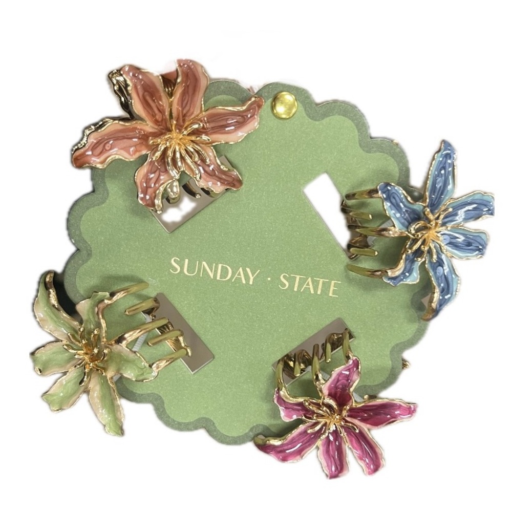 NWT ⚜️🌺⚜️ Sunday State Gorgeous Floral Hair Claw Clip Set